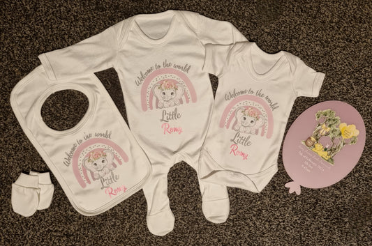 Welcome To The World Baby Set