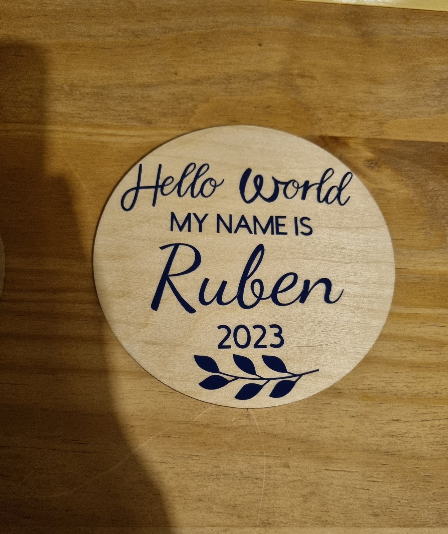 "Hello World" Baby Disc